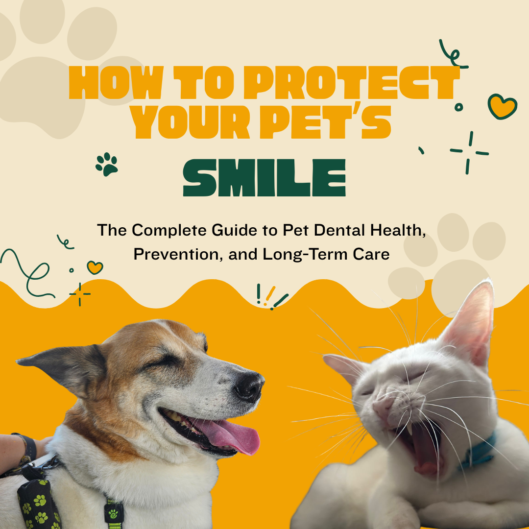 Pet Dental Health: Essential Care for Your Pet's Smile (Cats & Dogs)
